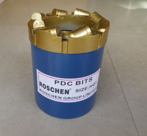 地質およびAPIオイルのガス井のダイヤモンドの穿孔機のためのPDC/PCDのダイヤモンドの穿孔機ビット